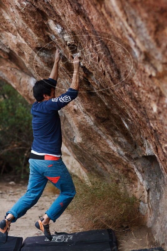Bouldering in Hueco Tanks on 11/22/2018 with Blue Lizard Climbing and Yoga

Filename: SRM_20181122_1732160.jpg
Aperture: f/2.0
Shutter Speed: 1/320
Body: Canon EOS-1D Mark II
Lens: Canon EF 85mm f/1.2 L II