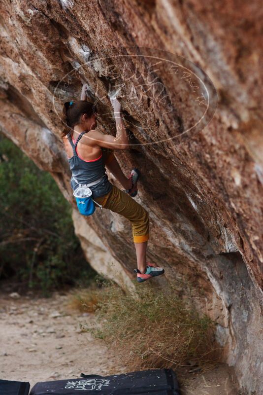 Bouldering in Hueco Tanks on 11/22/2018 with Blue Lizard Climbing and Yoga
Filename: SRM_20181122_1732290.jpg
Aperture: f/2.0
Shutter Speed: 1/320
Body: Canon EOS-1D Mark II
Lens: Canon EF 85mm f/1.2 L II