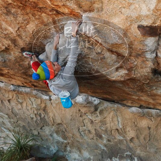 

Filename: SRM_20181120_1015260.jpg
Aperture: f/4.0
Shutter Speed: 1/400
Body: Canon EOS-1D Mark II
Lens: Canon EF 50mm f/1.8 II