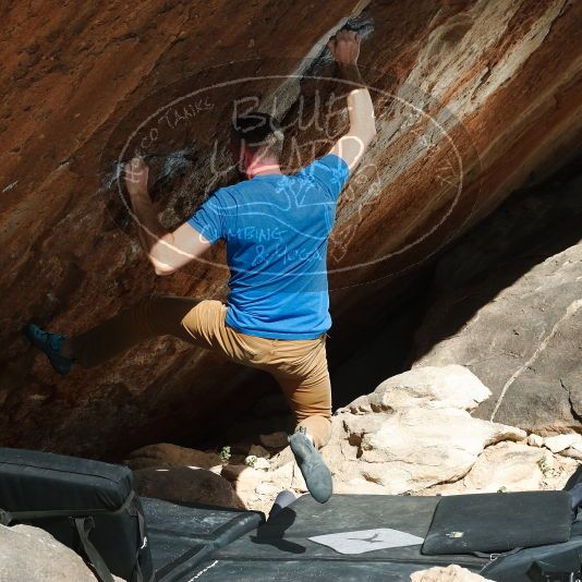 

Filename: SRM_20181120_1220120.jpg
Aperture: f/8.0
Shutter Speed: 1/250
Body: Canon EOS-1D Mark II
Lens: Canon EF 50mm f/1.8 II