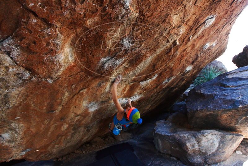 Bouldering in Hueco Tanks on 11/20/2018 with Blue Lizard Climbing and Yoga

Filename: SRM_20181120_1248040.jpg
Aperture: f/4.5
Shutter Speed: 1/250
Body: Canon EOS-1D Mark II
Lens: Canon EF 16-35mm f/2.8 L