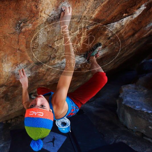 

Filename: SRM_20181120_1259080.jpg
Aperture: f/4.5
Shutter Speed: 1/250
Body: Canon EOS-1D Mark II
Lens: Canon EF 16-35mm f/2.8 L