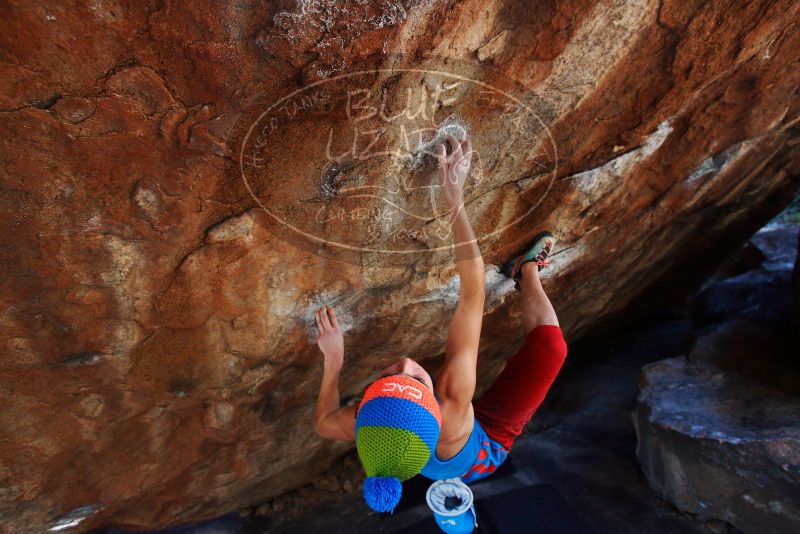 Bouldering in Hueco Tanks on 11/20/2018 with Blue Lizard Climbing and Yoga
Filename: SRM_20181120_1304010.jpg
Aperture: f/4.5
Shutter Speed: 1/250
Body: Canon EOS-1D Mark II
Lens: Canon EF 16-35mm f/2.8 L