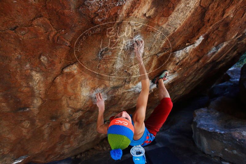 Bouldering in Hueco Tanks on 11/20/2018 with Blue Lizard Climbing and Yoga

Filename: SRM_20181120_1304011.jpg
Aperture: f/4.5
Shutter Speed: 1/250
Body: Canon EOS-1D Mark II
Lens: Canon EF 16-35mm f/2.8 L