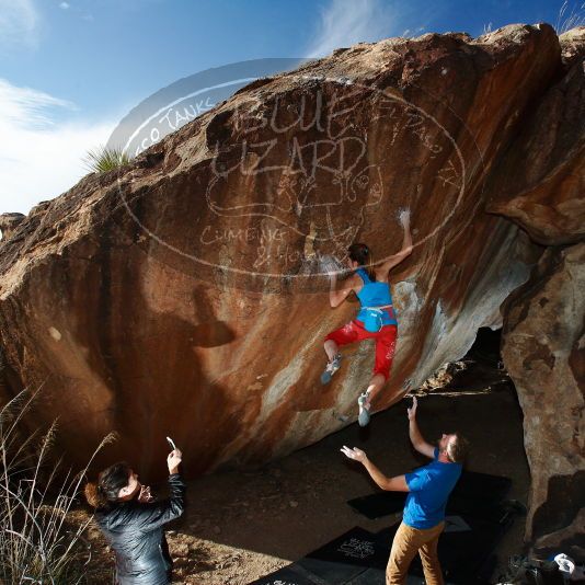 

Filename: SRM_20181120_1551400.jpg
Aperture: f/8.0
Shutter Speed: 1/250
Body: Canon EOS-1D Mark II
Lens: Canon EF 16-35mm f/2.8 L