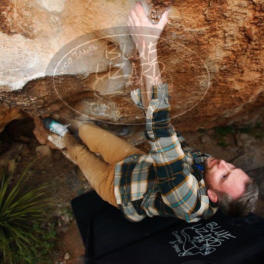 

Filename: SRM_20181120_1736180.jpg
Aperture: f/4.0
Shutter Speed: 1/250
Body: Canon EOS-1D Mark II
Lens: Canon EF 16-35mm f/2.8 L