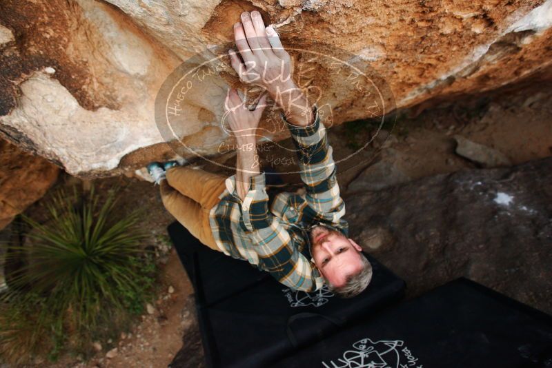Bouldering in Hueco Tanks on 11/20/2018 with Blue Lizard Climbing and Yoga

Filename: SRM_20181120_1736210.jpg
Aperture: f/4.0
Shutter Speed: 1/250
Body: Canon EOS-1D Mark II
Lens: Canon EF 16-35mm f/2.8 L