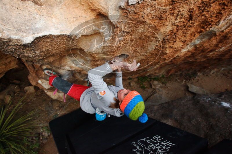 Bouldering in Hueco Tanks on 11/20/2018 with Blue Lizard Climbing and Yoga

Filename: SRM_20181120_1737480.jpg
Aperture: f/4.0
Shutter Speed: 1/250
Body: Canon EOS-1D Mark II
Lens: Canon EF 16-35mm f/2.8 L
