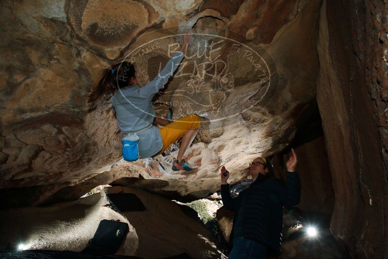 Bouldering in Hueco Tanks on 11/19/2018 with Blue Lizard Climbing and Yoga

Filename: SRM_20181119_1156370.jpg
Aperture: f/8.0
Shutter Speed: 1/250
Body: Canon EOS-1D Mark II
Lens: Canon EF 16-35mm f/2.8 L