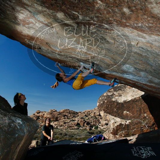 

Filename: SRM_20181119_1442350.jpg
Aperture: f/8.0
Shutter Speed: 1/250
Body: Canon EOS-1D Mark II
Lens: Canon EF 16-35mm f/2.8 L