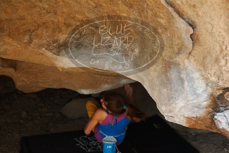 Bouldering in Hueco Tanks on 11/19/2018 with Blue Lizard Climbing and Yoga

Filename: SRM_20181119_1503411.jpg
Aperture: f/2.8
Shutter Speed: 1/250
Body: Canon EOS-1D Mark II
Lens: Canon EF 50mm f/1.8 II