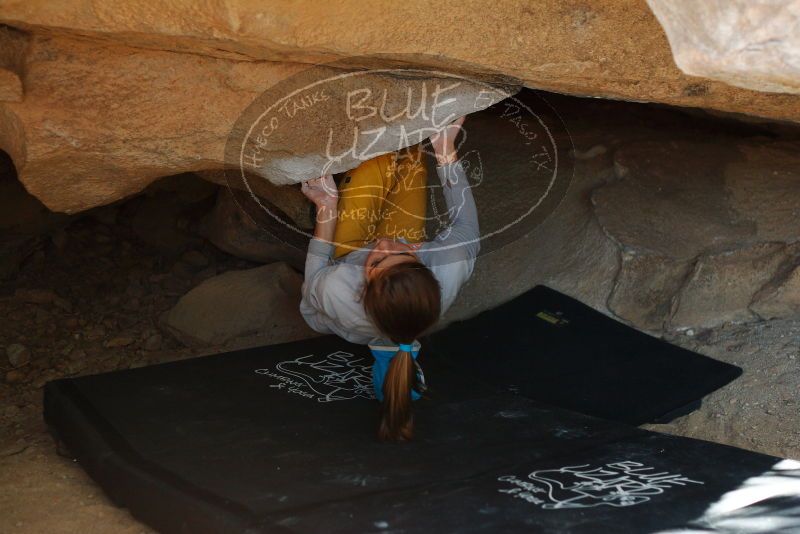 Bouldering in Hueco Tanks on 11/19/2018 with Blue Lizard Climbing and Yoga
Filename: SRM_20181119_1509050.jpg
Aperture: f/2.8
Shutter Speed: 1/200
Body: Canon EOS-1D Mark II
Lens: Canon EF 50mm f/1.8 II