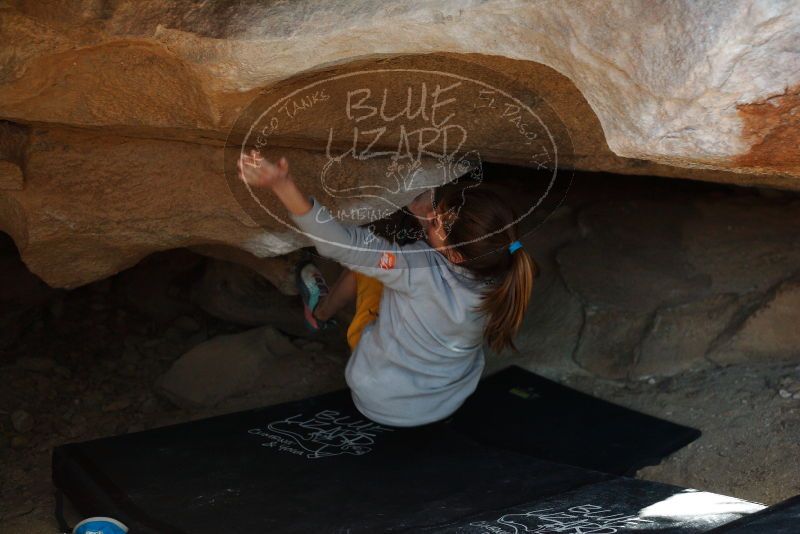 Bouldering in Hueco Tanks on 11/19/2018 with Blue Lizard Climbing and Yoga
Filename: SRM_20181119_1522190.jpg
Aperture: f/2.8
Shutter Speed: 1/250
Body: Canon EOS-1D Mark II
Lens: Canon EF 50mm f/1.8 II