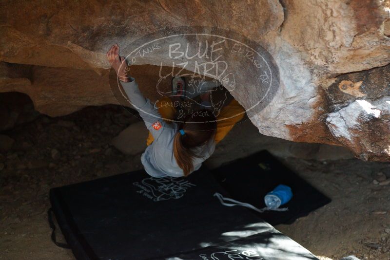Bouldering in Hueco Tanks on 11/19/2018 with Blue Lizard Climbing and Yoga
Filename: SRM_20181119_1557150.jpg
Aperture: f/2.8
Shutter Speed: 1/250
Body: Canon EOS-1D Mark II
Lens: Canon EF 50mm f/1.8 II