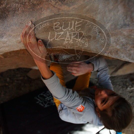 

Filename: SRM_20181119_1603090.jpg
Aperture: f/2.8
Shutter Speed: 1/250
Body: Canon EOS-1D Mark II
Lens: Canon EF 16-35mm f/2.8 L