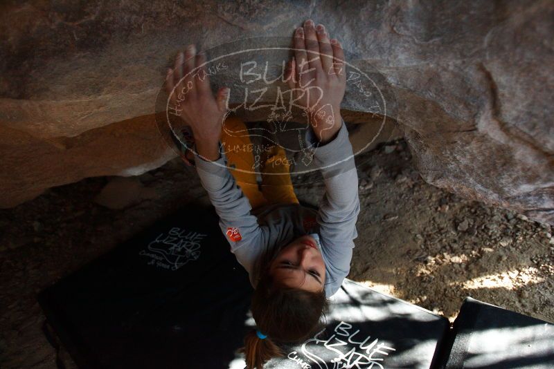 Bouldering in Hueco Tanks on 11/19/2018 with Blue Lizard Climbing and Yoga
Filename: SRM_20181119_1603100.jpg
Aperture: f/2.8
Shutter Speed: 1/250
Body: Canon EOS-1D Mark II
Lens: Canon EF 16-35mm f/2.8 L