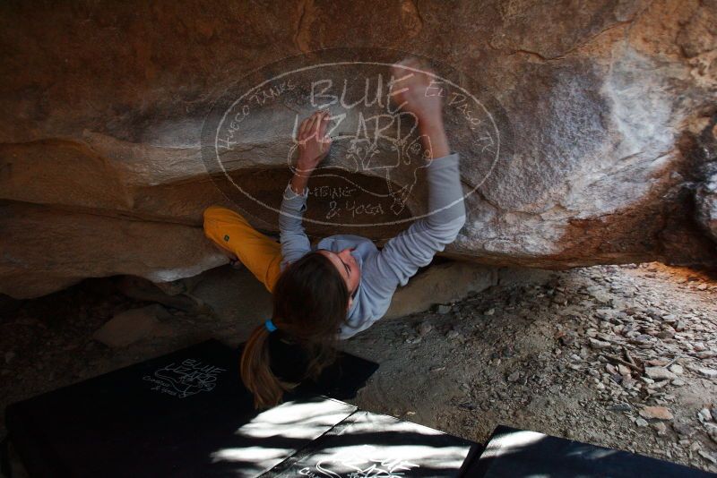 Bouldering in Hueco Tanks on 11/19/2018 with Blue Lizard Climbing and Yoga
Filename: SRM_20181119_1612320.jpg
Aperture: f/2.8
Shutter Speed: 1/250
Body: Canon EOS-1D Mark II
Lens: Canon EF 16-35mm f/2.8 L