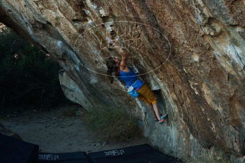 Bouldering in Hueco Tanks on 11/19/2018 with Blue Lizard Climbing and Yoga
Filename: SRM_20181119_1742100.jpg
Aperture: f/5.0
Shutter Speed: 1/250
Body: Canon EOS-1D Mark II
Lens: Canon EF 50mm f/1.8 II