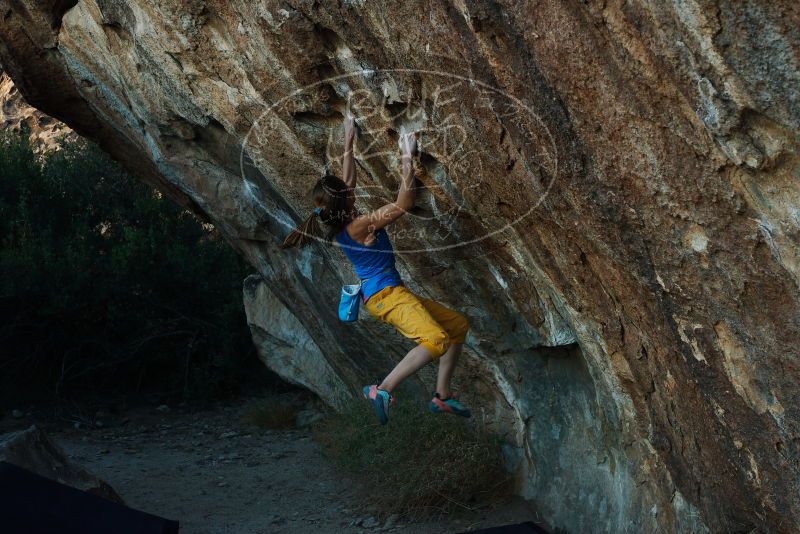 Bouldering in Hueco Tanks on 11/19/2018 with Blue Lizard Climbing and Yoga

Filename: SRM_20181119_1742130.jpg
Aperture: f/5.0
Shutter Speed: 1/250
Body: Canon EOS-1D Mark II
Lens: Canon EF 50mm f/1.8 II