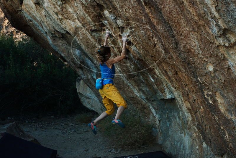 Bouldering in Hueco Tanks on 11/19/2018 with Blue Lizard Climbing and Yoga

Filename: SRM_20181119_1742131.jpg
Aperture: f/5.0
Shutter Speed: 1/250
Body: Canon EOS-1D Mark II
Lens: Canon EF 50mm f/1.8 II