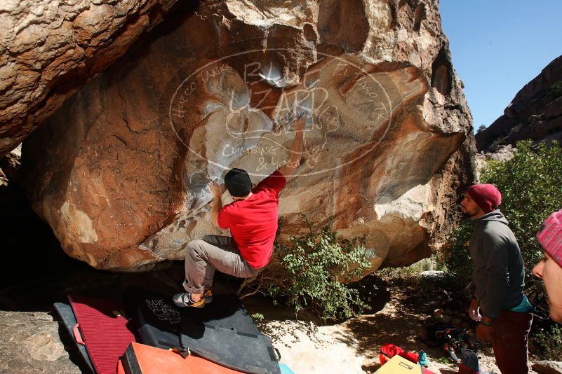 Bouldering in Hueco Tanks on 11/09/2018 with Blue Lizard Climbing and Yoga

Filename: SRM_20181109_1300190.jpg
Aperture: f/8.0
Shutter Speed: 1/250
Body: Canon EOS-1D Mark II
Lens: Canon EF 16-35mm f/2.8 L