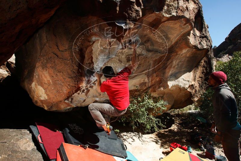 Bouldering in Hueco Tanks on 11/09/2018 with Blue Lizard Climbing and Yoga

Filename: SRM_20181109_1300191.jpg
Aperture: f/8.0
Shutter Speed: 1/250
Body: Canon EOS-1D Mark II
Lens: Canon EF 16-35mm f/2.8 L