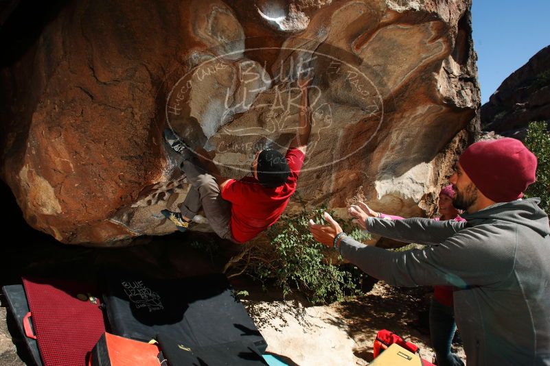 Bouldering in Hueco Tanks on 11/09/2018 with Blue Lizard Climbing and Yoga
Filename: SRM_20181109_1306450.jpg
Aperture: f/8.0
Shutter Speed: 1/250
Body: Canon EOS-1D Mark II
Lens: Canon EF 16-35mm f/2.8 L