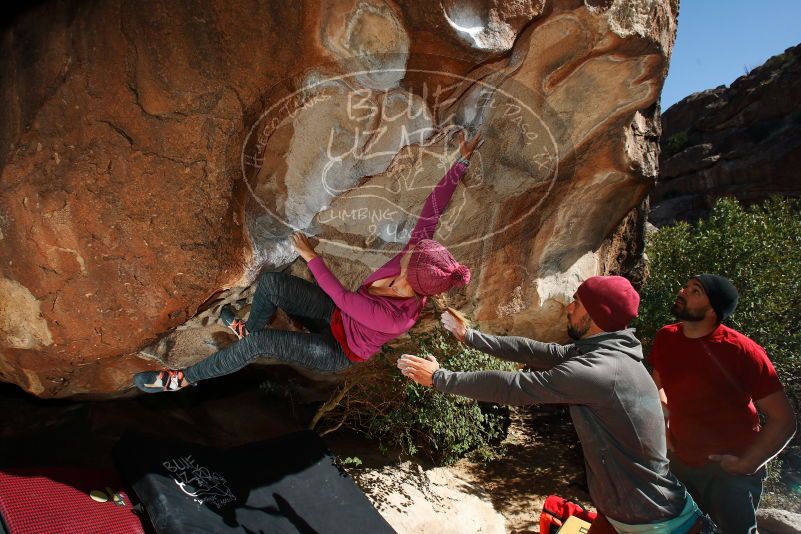 Bouldering in Hueco Tanks on 11/09/2018 with Blue Lizard Climbing and Yoga
Filename: SRM_20181109_1309340.jpg
Aperture: f/8.0
Shutter Speed: 1/250
Body: Canon EOS-1D Mark II
Lens: Canon EF 16-35mm f/2.8 L