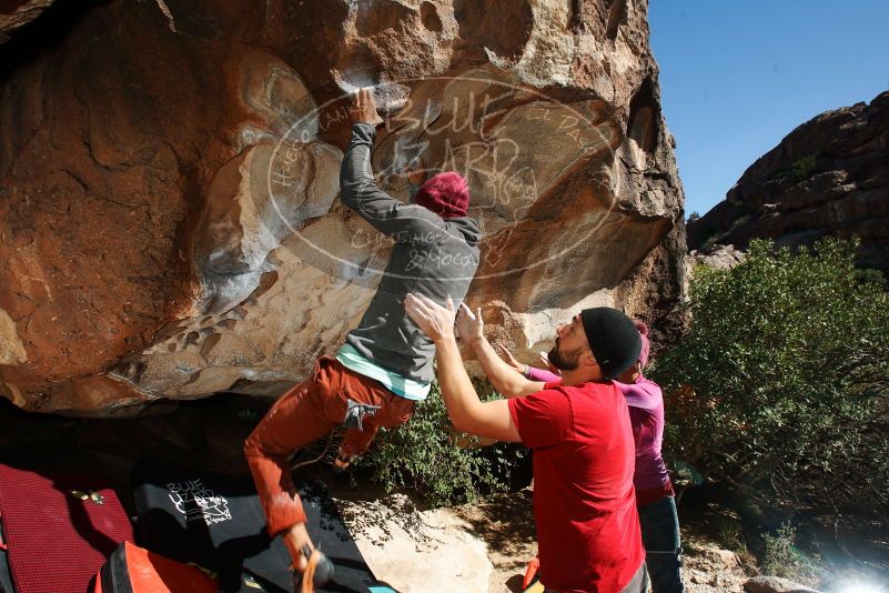 Bouldering in Hueco Tanks on 11/09/2018 with Blue Lizard Climbing and Yoga
Filename: SRM_20181109_1324410.jpg
Aperture: f/8.0
Shutter Speed: 1/250
Body: Canon EOS-1D Mark II
Lens: Canon EF 16-35mm f/2.8 L