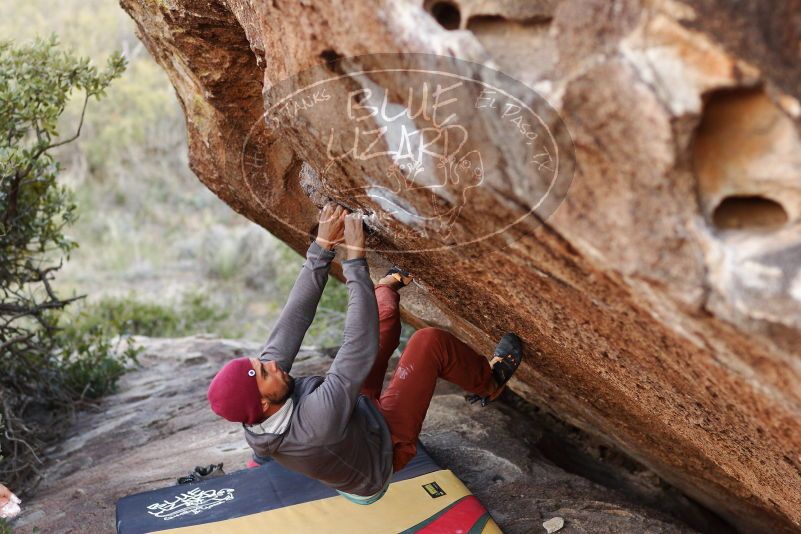 Bouldering in Hueco Tanks on 11/09/2018 with Blue Lizard Climbing and Yoga

Filename: SRM_20181109_1659140.jpg
Aperture: f/2.8
Shutter Speed: 1/500
Body: Canon EOS-1D Mark II
Lens: Canon EF 85mm f/1.2 L II