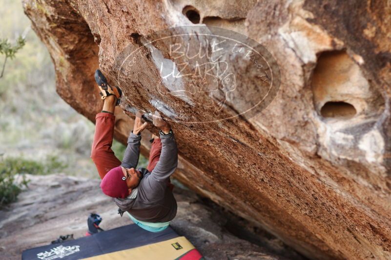 Bouldering in Hueco Tanks on 11/09/2018 with Blue Lizard Climbing and Yoga
Filename: SRM_20181109_1659221.jpg
Aperture: f/2.8
Shutter Speed: 1/500
Body: Canon EOS-1D Mark II
Lens: Canon EF 85mm f/1.2 L II