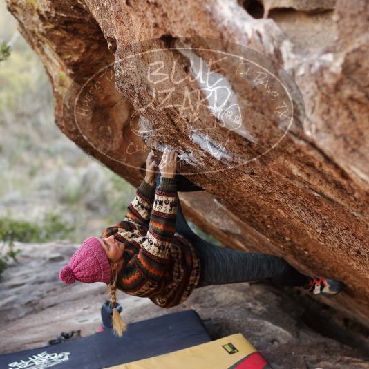 

Filename: SRM_20181109_1700330.jpg
Aperture: f/2.8
Shutter Speed: 1/640
Body: Canon EOS-1D Mark II
Lens: Canon EF 85mm f/1.2 L II