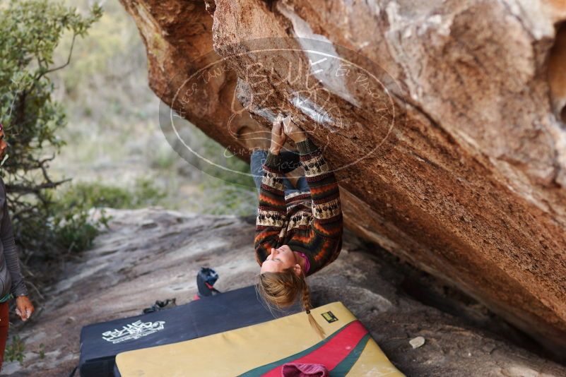 Bouldering in Hueco Tanks on 11/09/2018 with Blue Lizard Climbing and Yoga
Filename: SRM_20181109_1700370.jpg
Aperture: f/2.8
Shutter Speed: 1/640
Body: Canon EOS-1D Mark II
Lens: Canon EF 85mm f/1.2 L II