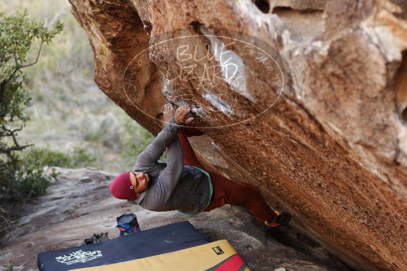Bouldering in Hueco Tanks on 11/09/2018 with Blue Lizard Climbing and Yoga
Filename: SRM_20181109_1701120.jpg
Aperture: f/2.8
Shutter Speed: 1/640
Body: Canon EOS-1D Mark II
Lens: Canon EF 85mm f/1.2 L II