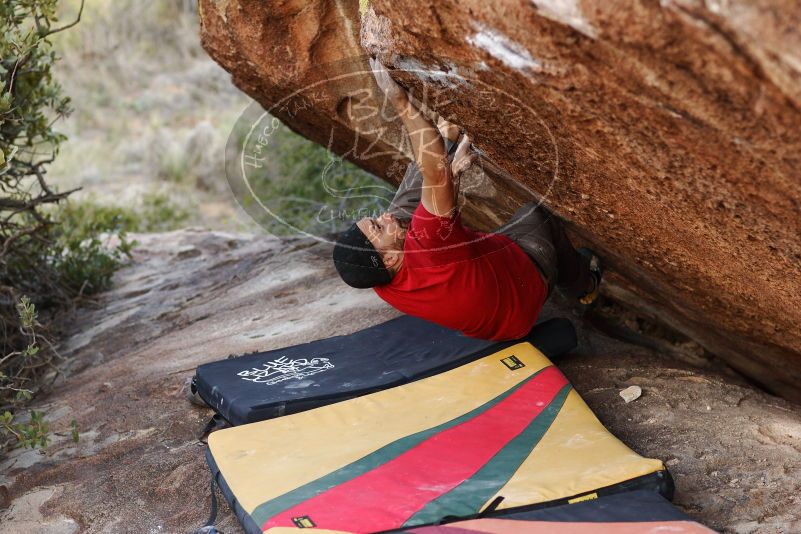 Bouldering in Hueco Tanks on 11/09/2018 with Blue Lizard Climbing and Yoga
Filename: SRM_20181109_1709370.jpg
Aperture: f/2.8
Shutter Speed: 1/400
Body: Canon EOS-1D Mark II
Lens: Canon EF 85mm f/1.2 L II