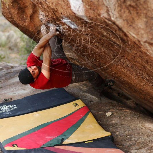 

Filename: SRM_20181109_1717440.jpg
Aperture: f/2.8
Shutter Speed: 1/500
Body: Canon EOS-1D Mark II
Lens: Canon EF 85mm f/1.2 L II