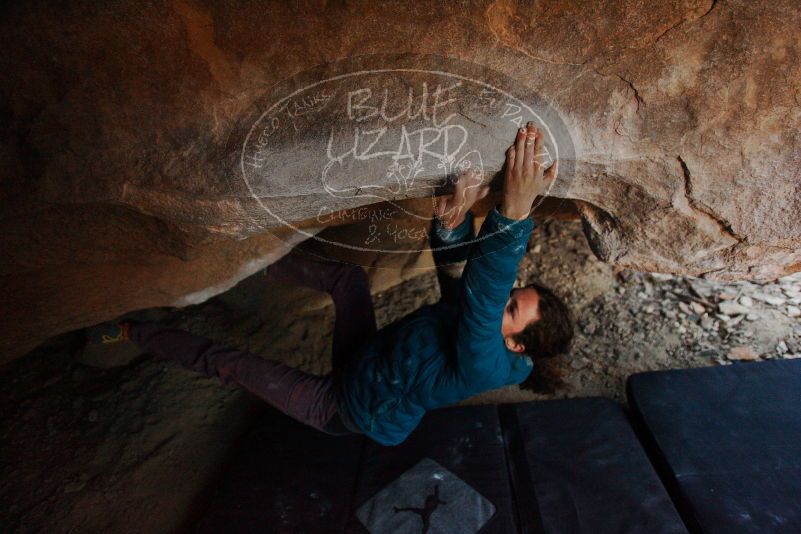 Bouldering in Hueco Tanks on 12/01/2018 with Blue Lizard Climbing and Yoga

Filename: SRM_20181201_1101020.jpg
Aperture: f/2.8
Shutter Speed: 1/160
Body: Canon EOS-1D Mark II
Lens: Canon EF 16-35mm f/2.8 L