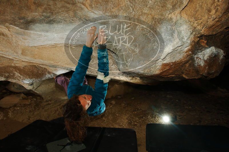 Bouldering in Hueco Tanks on 12/01/2018 with Blue Lizard Climbing and Yoga

Filename: SRM_20181201_1112050.jpg
Aperture: f/8.0
Shutter Speed: 1/250
Body: Canon EOS-1D Mark II
Lens: Canon EF 16-35mm f/2.8 L