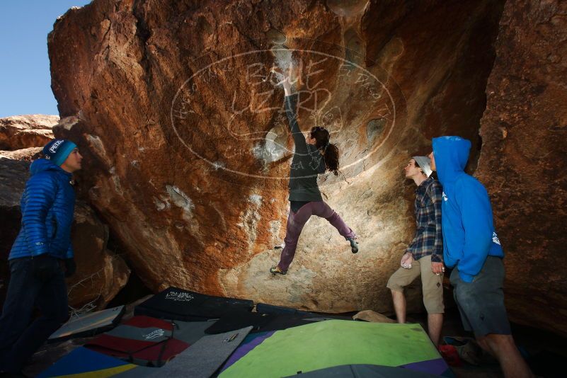 Bouldering in Hueco Tanks on 12/01/2018 with Blue Lizard Climbing and Yoga

Filename: SRM_20181201_1301090.jpg
Aperture: f/8.0
Shutter Speed: 1/160
Body: Canon EOS-1D Mark II
Lens: Canon EF 16-35mm f/2.8 L