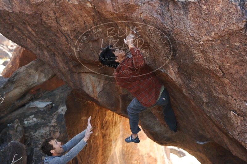 Bouldering in Hueco Tanks on 12/01/2018 with Blue Lizard Climbing and Yoga
Filename: SRM_20181201_1346530.jpg
Aperture: f/4.0
Shutter Speed: 1/800
Body: Canon EOS-1D Mark II
Lens: Canon EF 50mm f/1.8 II