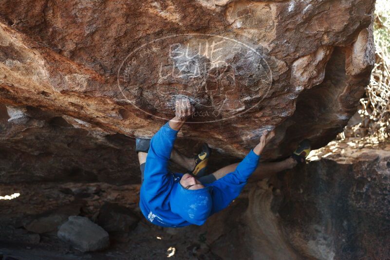 Bouldering in Hueco Tanks on 12/01/2018 with Blue Lizard Climbing and Yoga

Filename: SRM_20181201_1352210.jpg
Aperture: f/4.0
Shutter Speed: 1/400
Body: Canon EOS-1D Mark II
Lens: Canon EF 50mm f/1.8 II