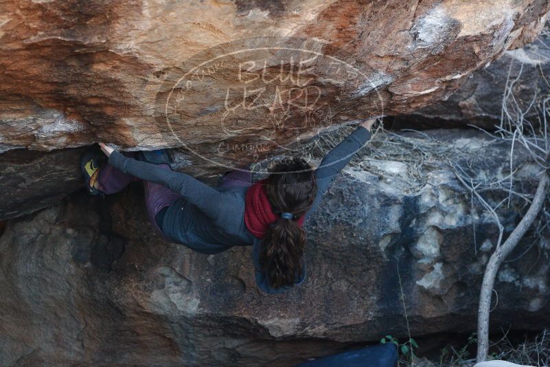 Bouldering in Hueco Tanks on 12/01/2018 with Blue Lizard Climbing and Yoga

Filename: SRM_20181201_1416570.jpg
Aperture: f/4.0
Shutter Speed: 1/250
Body: Canon EOS-1D Mark II
Lens: Canon EF 50mm f/1.8 II