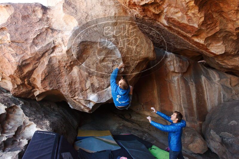 Bouldering in Hueco Tanks on 12/01/2018 with Blue Lizard Climbing and Yoga
Filename: SRM_20181201_1518100.jpg
Aperture: f/4.0
Shutter Speed: 1/320
Body: Canon EOS-1D Mark II
Lens: Canon EF 16-35mm f/2.8 L