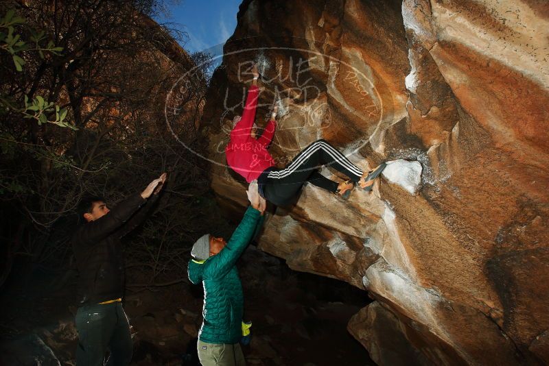 Bouldering in Hueco Tanks on 12/02/2018 with Blue Lizard Climbing and Yoga
Filename: SRM_20181202_1642370.jpg
Aperture: f/7.1
Shutter Speed: 1/250
Body: Canon EOS-1D Mark II
Lens: Canon EF 16-35mm f/2.8 L