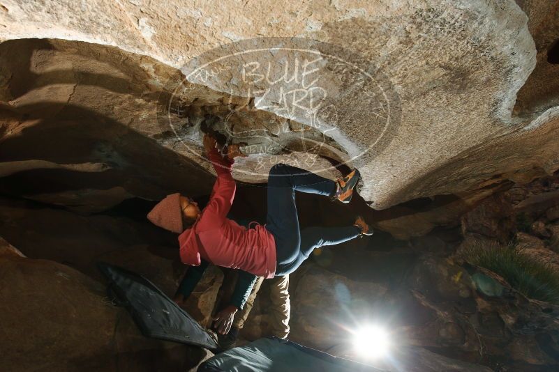 Bouldering in Hueco Tanks on 12/08/2018 with Blue Lizard Climbing and Yoga

Filename: SRM_20181208_1152460.jpg
Aperture: f/8.0
Shutter Speed: 1/250
Body: Canon EOS-1D Mark II
Lens: Canon EF 16-35mm f/2.8 L