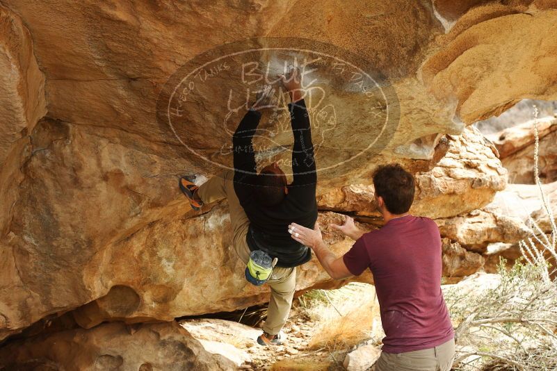 Bouldering in Hueco Tanks on 12/08/2018 with Blue Lizard Climbing and Yoga

Filename: SRM_20181208_1418400.jpg
Aperture: f/5.0
Shutter Speed: 1/250
Body: Canon EOS-1D Mark II
Lens: Canon EF 50mm f/1.8 II