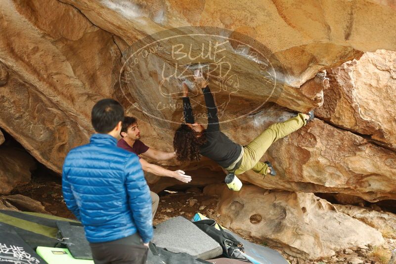 Bouldering in Hueco Tanks on 12/08/2018 with Blue Lizard Climbing and Yoga

Filename: SRM_20181208_1426410.jpg
Aperture: f/3.5
Shutter Speed: 1/250
Body: Canon EOS-1D Mark II
Lens: Canon EF 50mm f/1.8 II