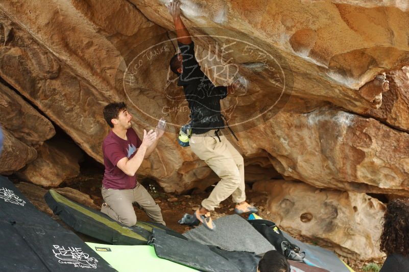 Bouldering in Hueco Tanks on 12/08/2018 with Blue Lizard Climbing and Yoga

Filename: SRM_20181208_1428180.jpg
Aperture: f/3.5
Shutter Speed: 1/250
Body: Canon EOS-1D Mark II
Lens: Canon EF 50mm f/1.8 II