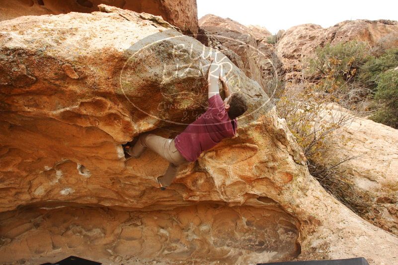 Bouldering in Hueco Tanks on 12/08/2018 with Blue Lizard Climbing and Yoga
Filename: SRM_20181208_1614590.jpg
Aperture: f/6.3
Shutter Speed: 1/250
Body: Canon EOS-1D Mark II
Lens: Canon EF 16-35mm f/2.8 L