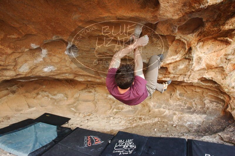 Bouldering in Hueco Tanks on 12/08/2018 with Blue Lizard Climbing and Yoga

Filename: SRM_20181208_1625060.jpg
Aperture: f/4.5
Shutter Speed: 1/250
Body: Canon EOS-1D Mark II
Lens: Canon EF 16-35mm f/2.8 L